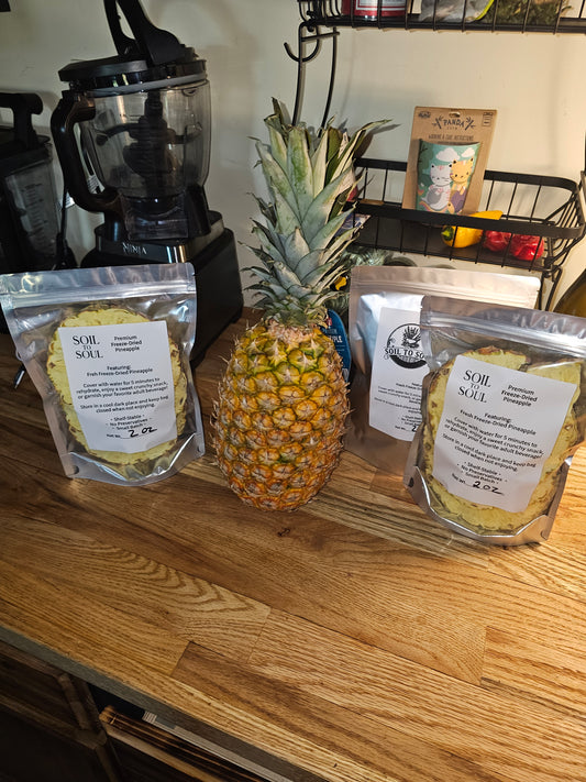 Premium Freeze-Dried Pineapple